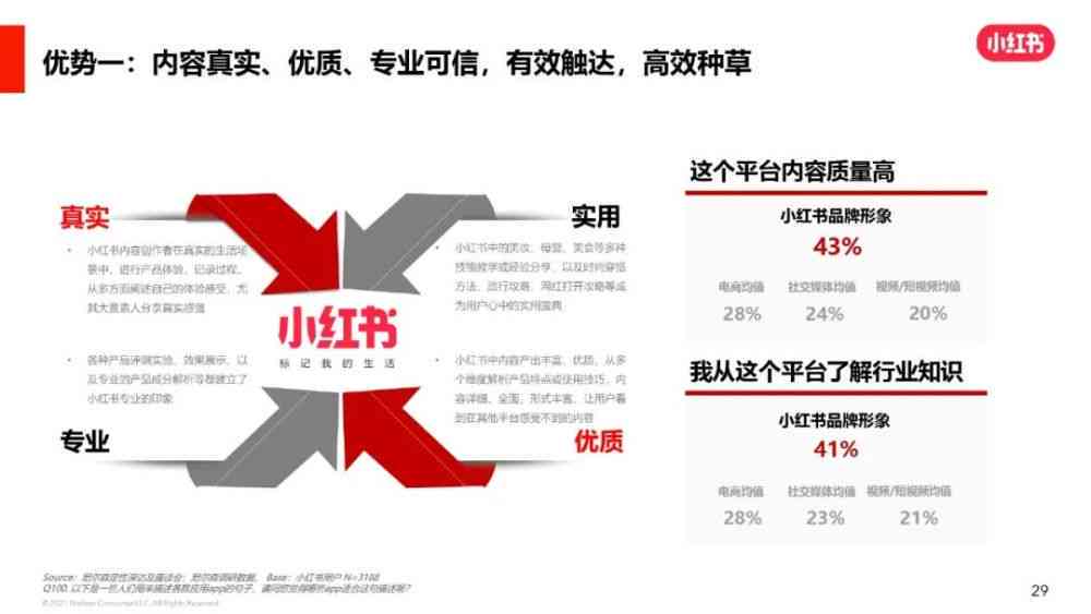 小红书报告：全方位分析指南与白皮书查阅攻略