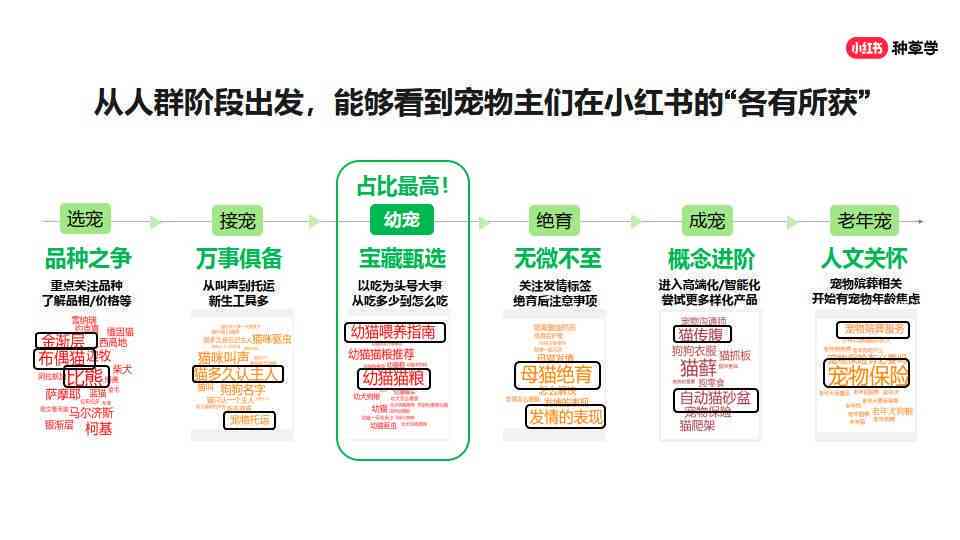 小红书报告：全方位分析指南与白皮书查阅攻略