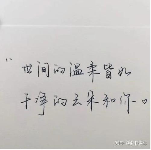 抖音文案短句干净治愈爱情：唯美柔爱情短句合集