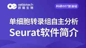 '融合创新策略：基于关键词的营销策划案经典案例解析'