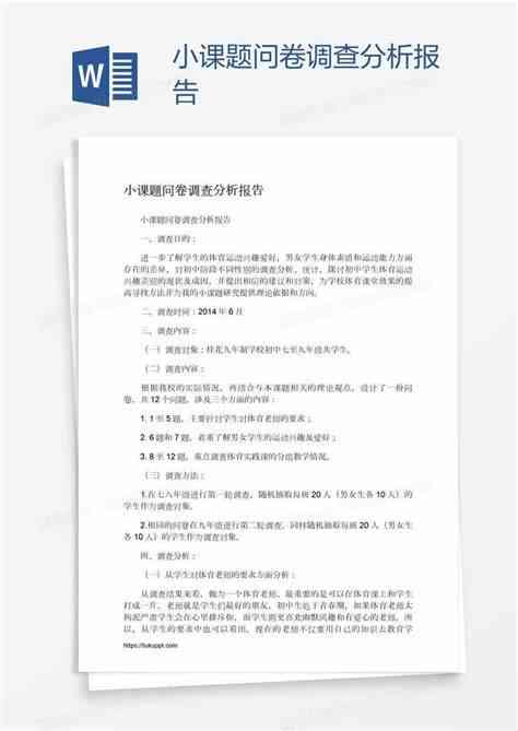 '基于问卷调查的详细分析与报告撰写'